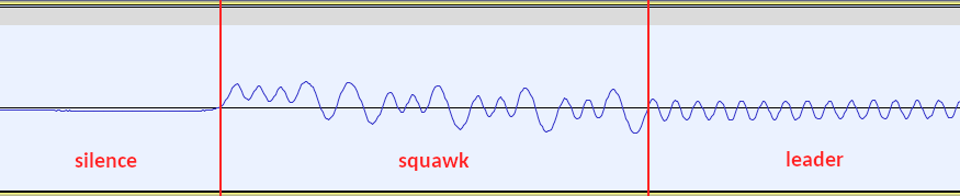 squawk1